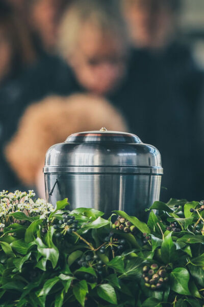 AdobeStock_337487758